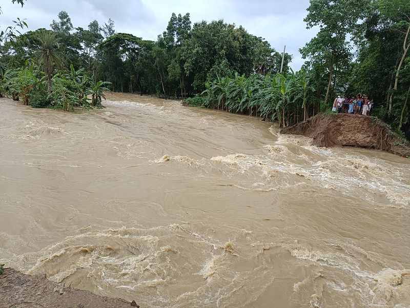 পরশুরামে মুহুরী নদীর বেড়িবাঁধের ভেঙে তালিয়ে গেছে আশপাশের এলাকা। আজ বেলা তিনটায় শালধর এলাকায়